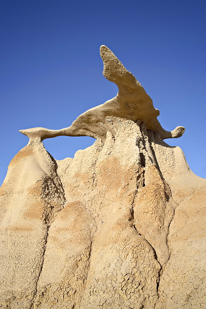 Bisti Wing, Bisti Wilderness, New Mexico, United States of America, North America