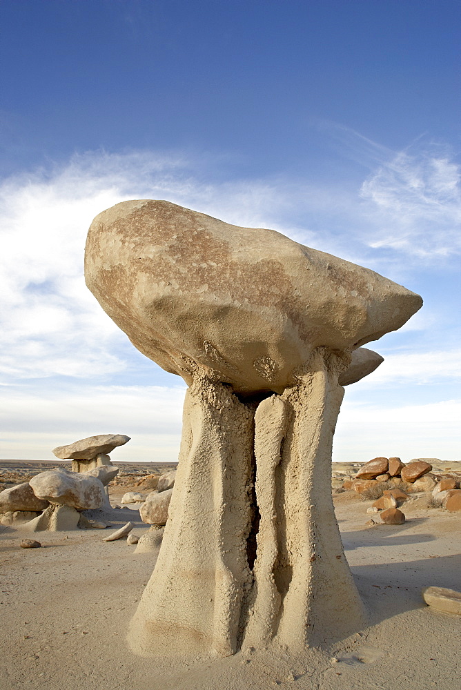 Hoodoo, Bisti Wilderness, New Mexico, United States of America, North America