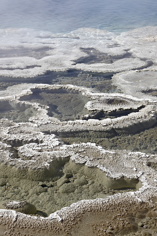 Artemesia Geyser Pool, Yellowstone National Park, UNESCO World Heritage Site, Wyoming, United States of America, North America