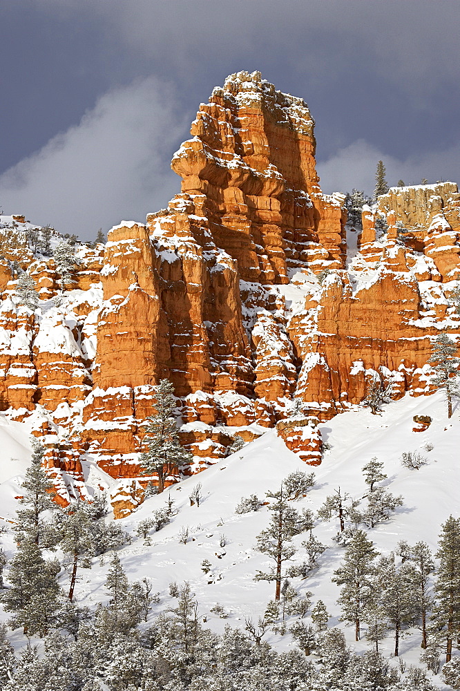 Red rock formations, Red Canyon, Dixie National Forest, Utah, United States of America, North America