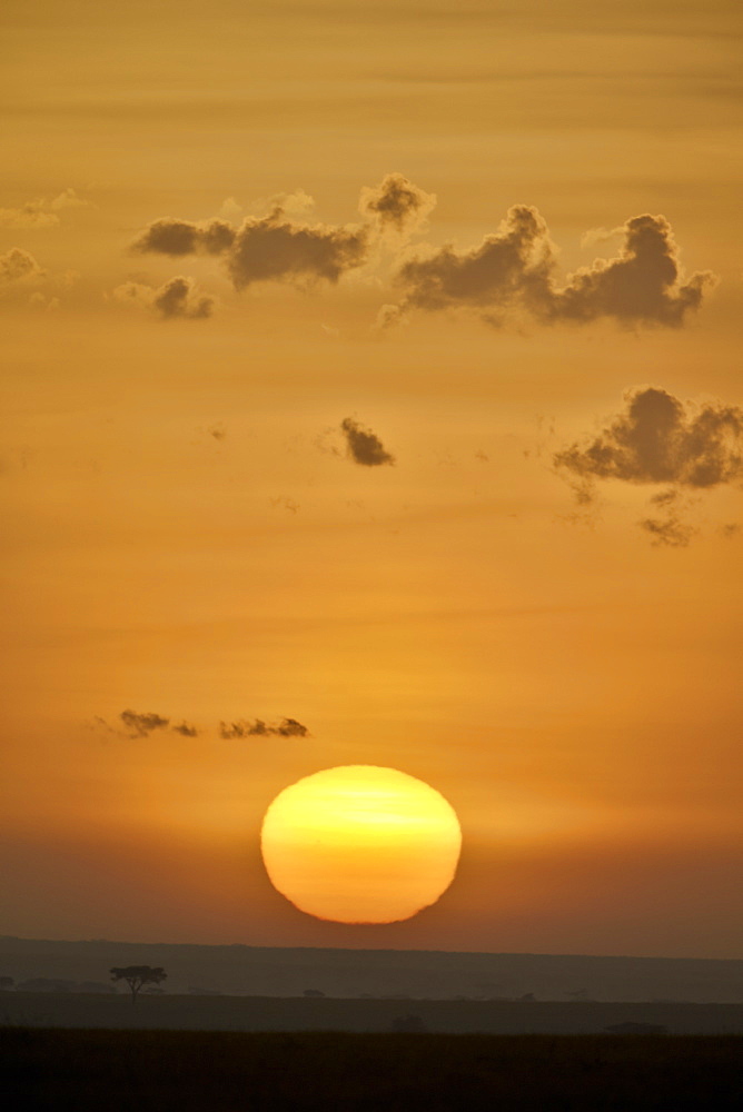 Sunrise, Serengeti National Park, Tanzania, East Africa, Africa 