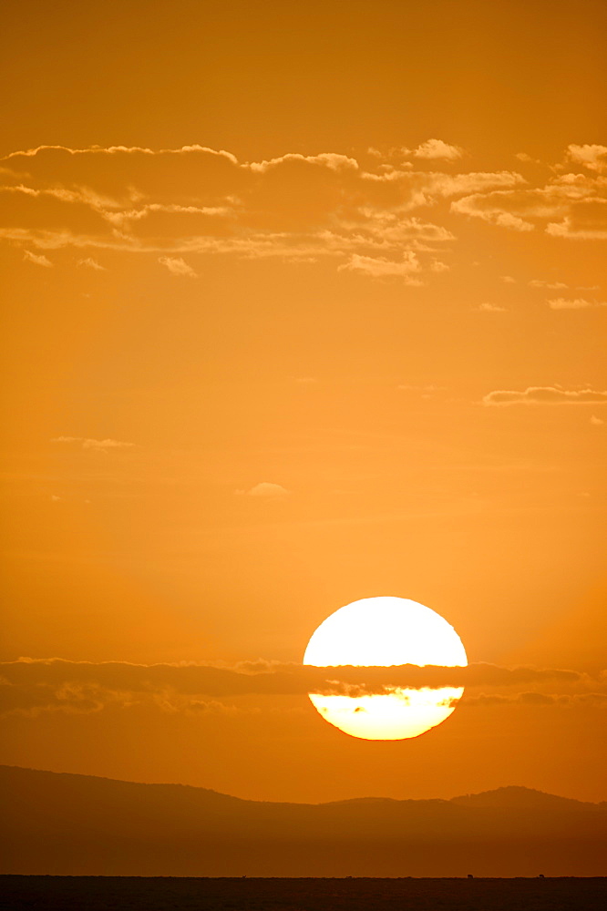 Sunrise, Serengeti National Park, Tanzania, East Africa, Africa 