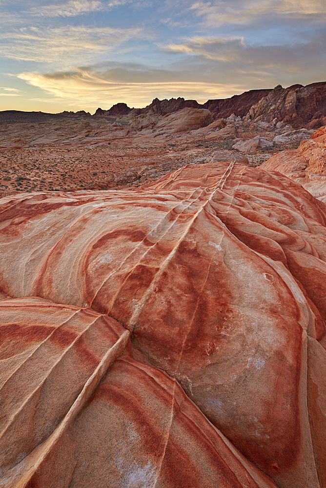 Sandstone forms at dawn, Valley of Fire State Park, Nevada, United States of America, North America