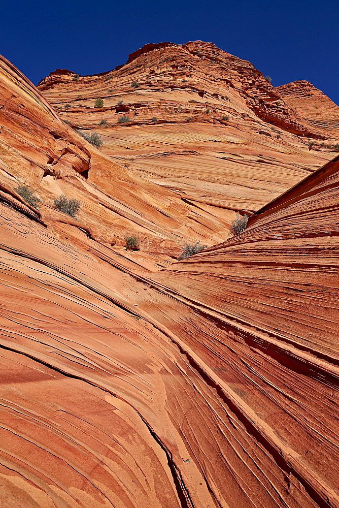 Layered sandstone, Coyote Buttes Wilderness, Vermilion Cliffs National Monument, Arizona, United States of America, North America