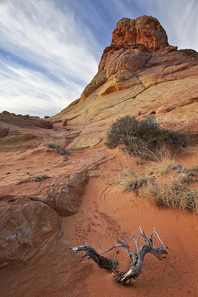 Dead branch and sandstone formations with clouds, Coyote Buttes Wilderness, Vermilion Cliffs National Monument, Arizona, United States of America, North America