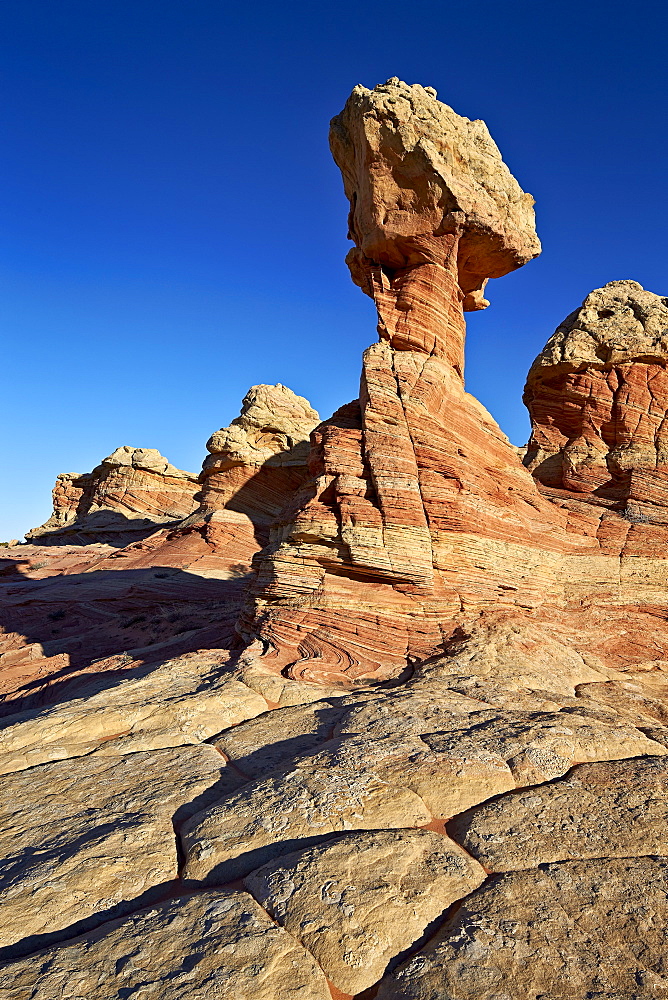 Sandstone formations, Coyote Buttes Wilderness, Vermilion Cliffs National Monument, Arizona, United States of America, North America