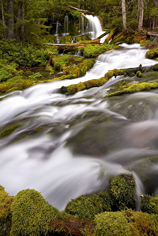 Big Spring Creek Falls, Gifford Pinchot National Forest, Washington, United States of America, North America