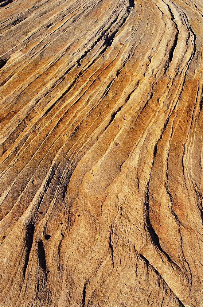 Slickrock, Zion National Park, Utah, United States of America, North America