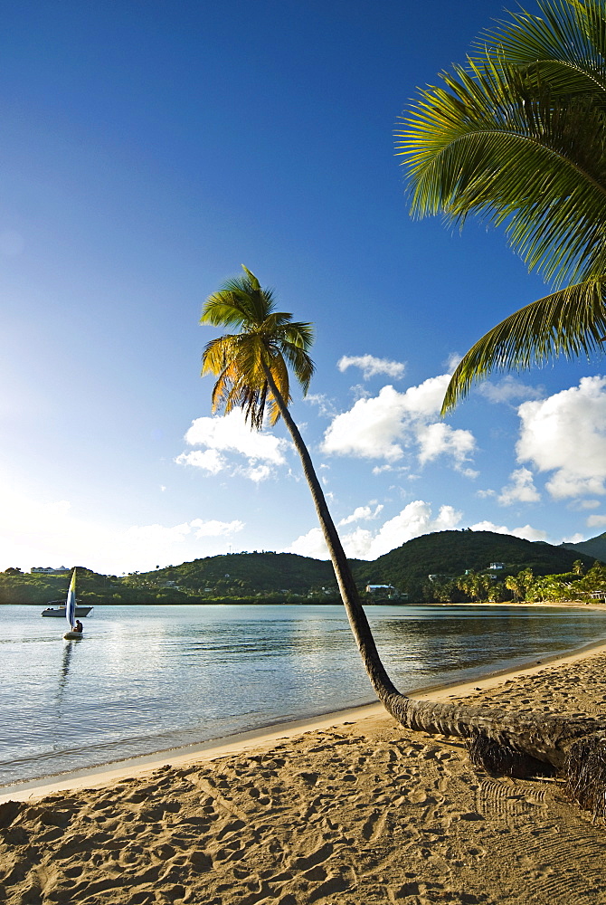 Carlisle Bay, Antigua, Leeward Islands, West Indies, Caribbean, Central America