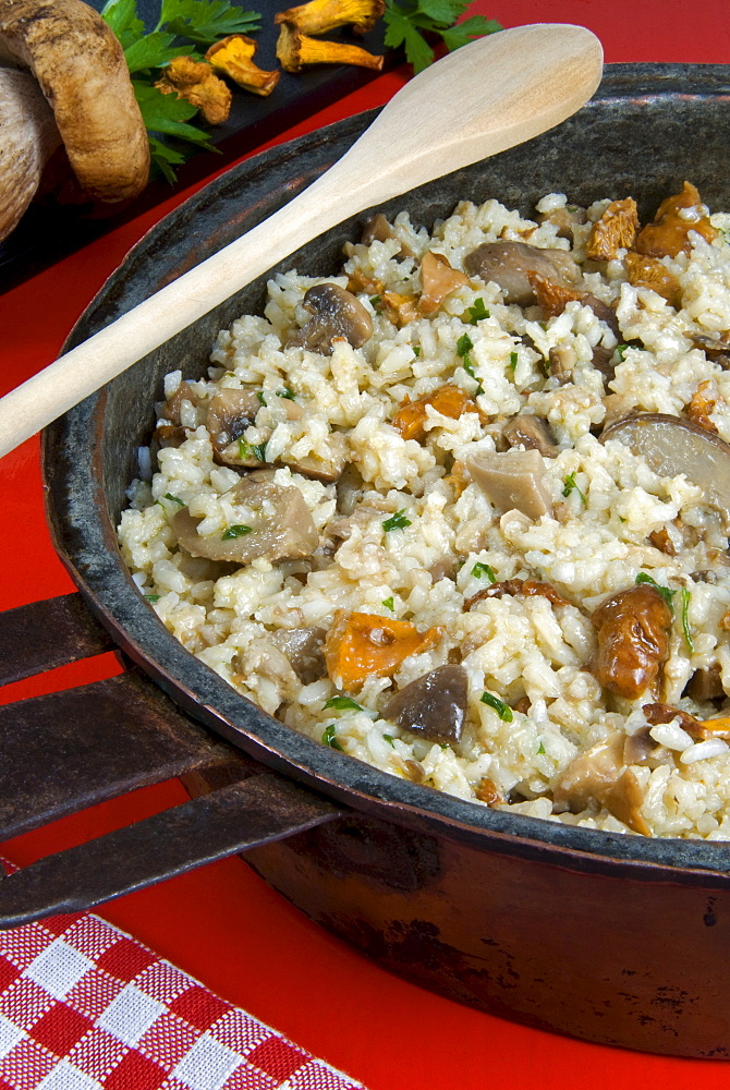 Mushrooms risotto, Tuscany, Italy, Europe