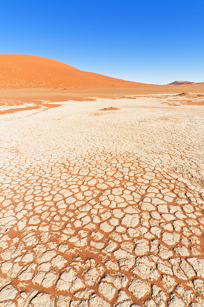 View of dunes, Sossusvlei, Namib Desert, Namib Naukluft Park, Namibia, Africa