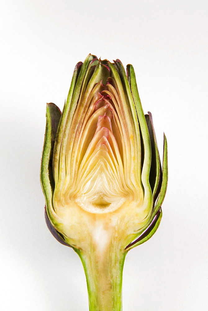 Half artichoke, Italy, Europe