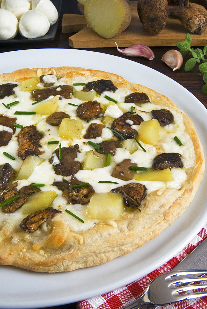 Ceps or Porcini Mushroom pizza (Boletus edulis), Italy, Europe