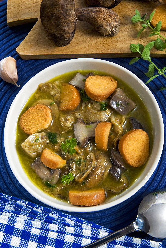 Mushroom soup (Boletus edulis), Italy, Europe