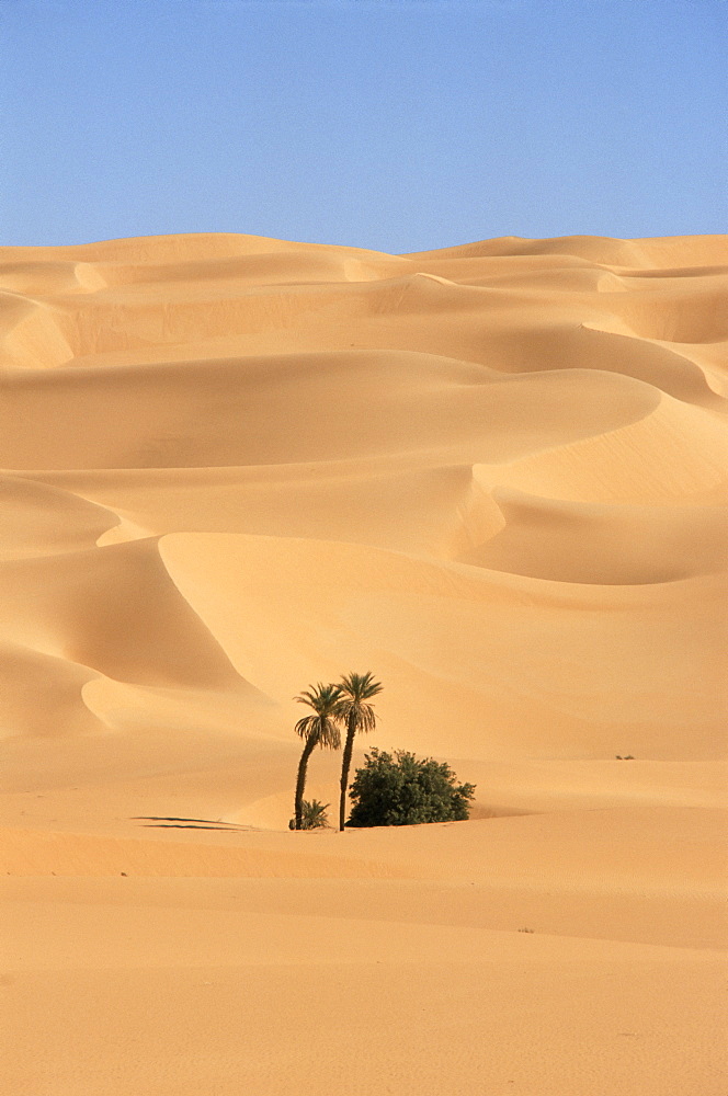 Mandara area, Southwest desert, Libya, North Africa, Africa