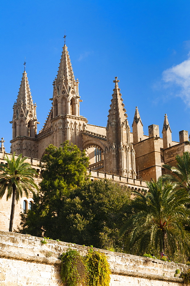 Cathedral of Santa Maria of Palma (La Seu), Palma de Mallorca, Majorca, Balearic Islands, Spain, Europe