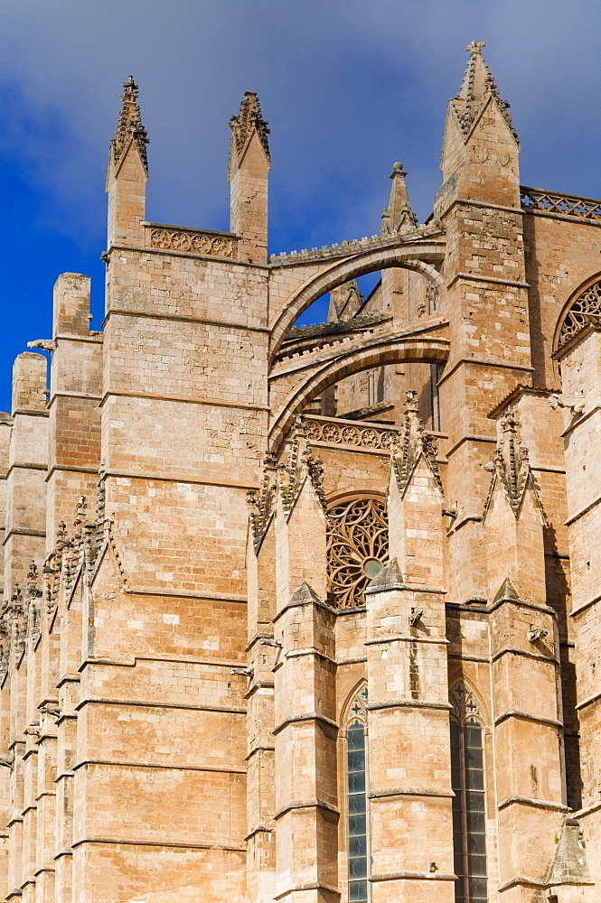 Cathedral of Santa Maria of Palma (La Seu), Palma de Mallorca, Majorca, Balearic Islands, Spain, Europe