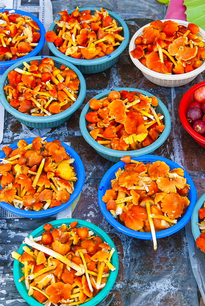 Kulat local mushrooms, food market, Serian, Sarawak, Malaysian Borneo, Malaysia, Southeast Asia, Asia