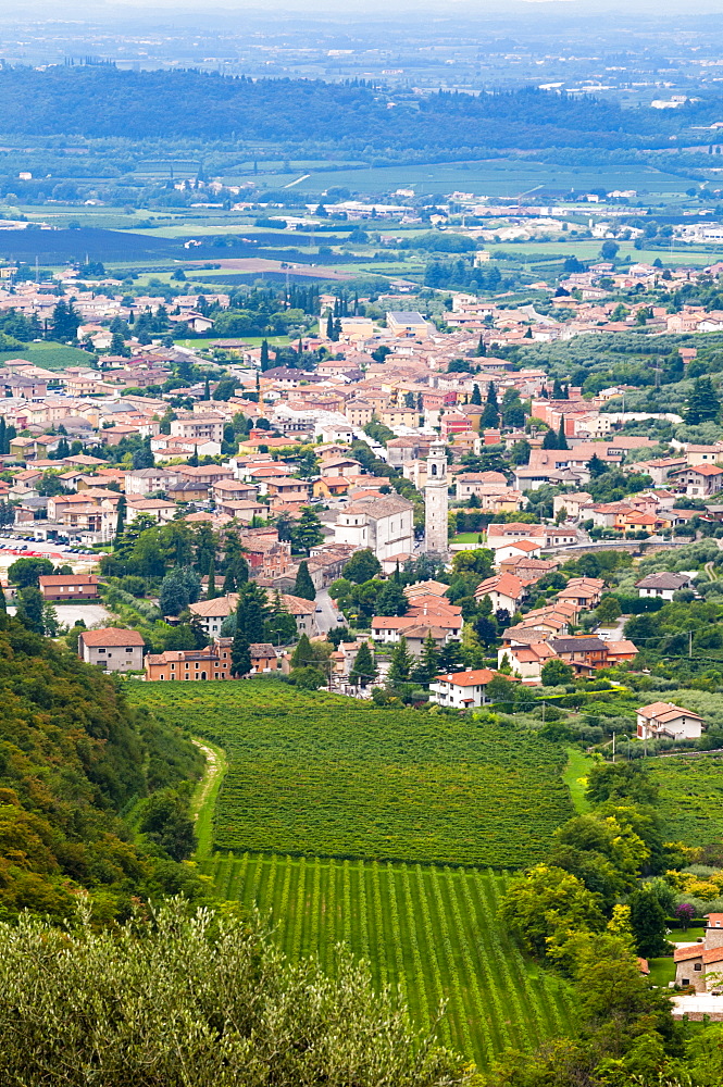 Sant Ambrogio di Valpolicella, Verona province, Veneto, Italy, Europe