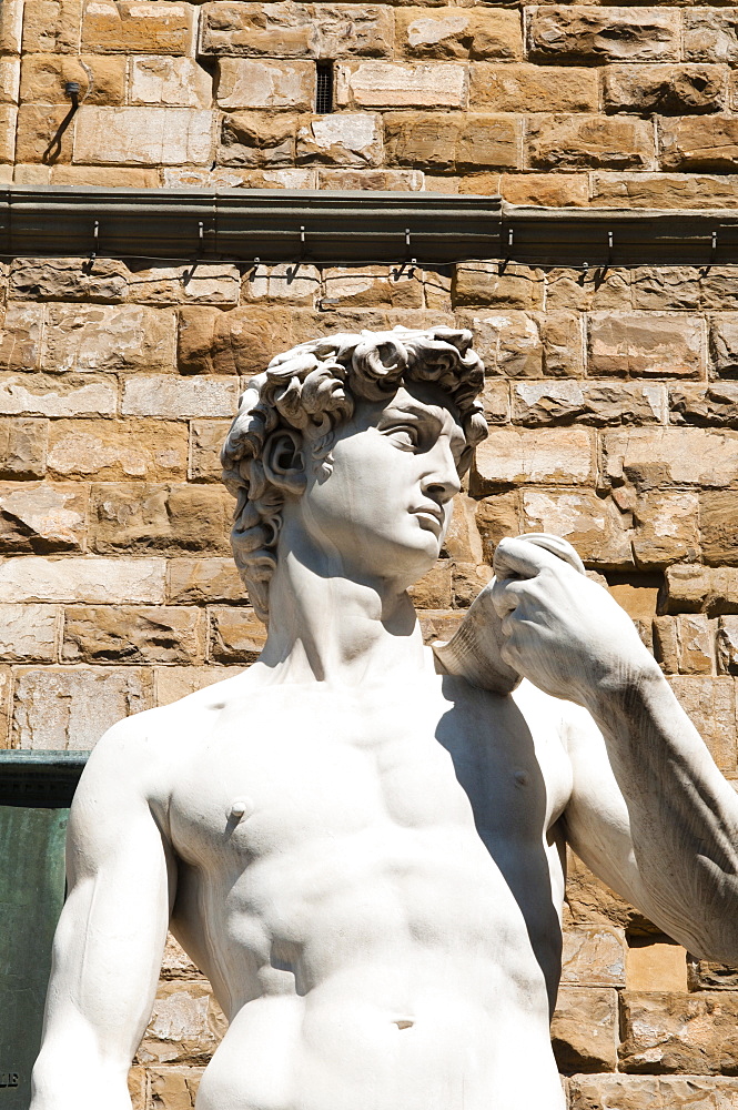 David  by Michelangelo dating from the 16th century, Piazza della Signoria, Florence (Firenze), UNESCO World Heritage Site, Tuscany, Italy, Europe