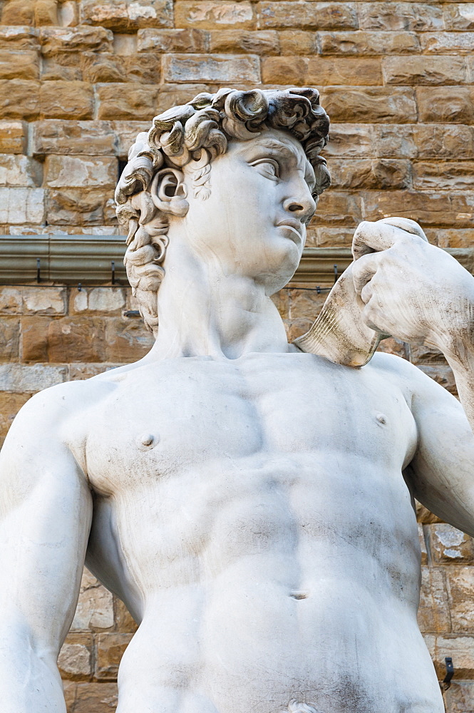 David  by Michelangelo dating from the 16th century, Piazza della Signoria, Florence (Firenze), UNESCO World Heritage Site, Tuscany, Italy, Europe