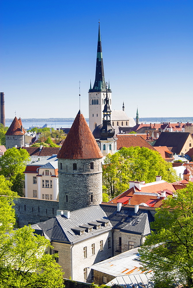 Medieval town walls and spire of St. Olav's church, Toompea hill, UNESCO World Heritage Site, Estonia, Baltic States, Europe