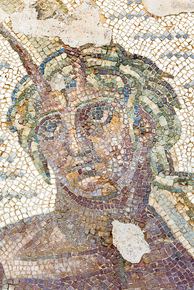 Roman mosaic, Carthage National Museum, Byrsa Hill, Carthage, UNESCO World Heritage Site, Tunis, Tunisia, North Africa, Africa