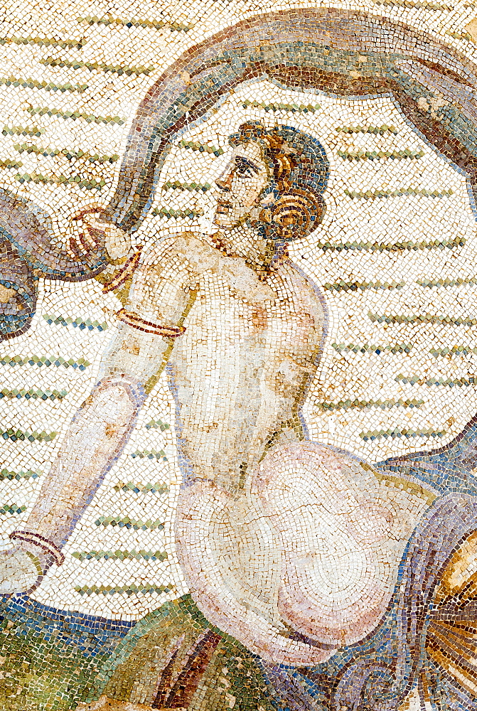 Roman mosaic, Carthage National Museum, Byrsa Hill, Carthage, UNESCO World Heritage Site, Tunis, Tunisia, North Africa, Africa