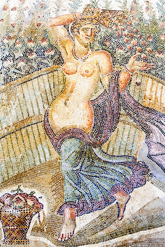 Roman mosaic, Carthage National Museum, Byrsa Hill, Carthage, UNESCO World Heritage Site, Tunis, Tunisia, North Africa, Africa