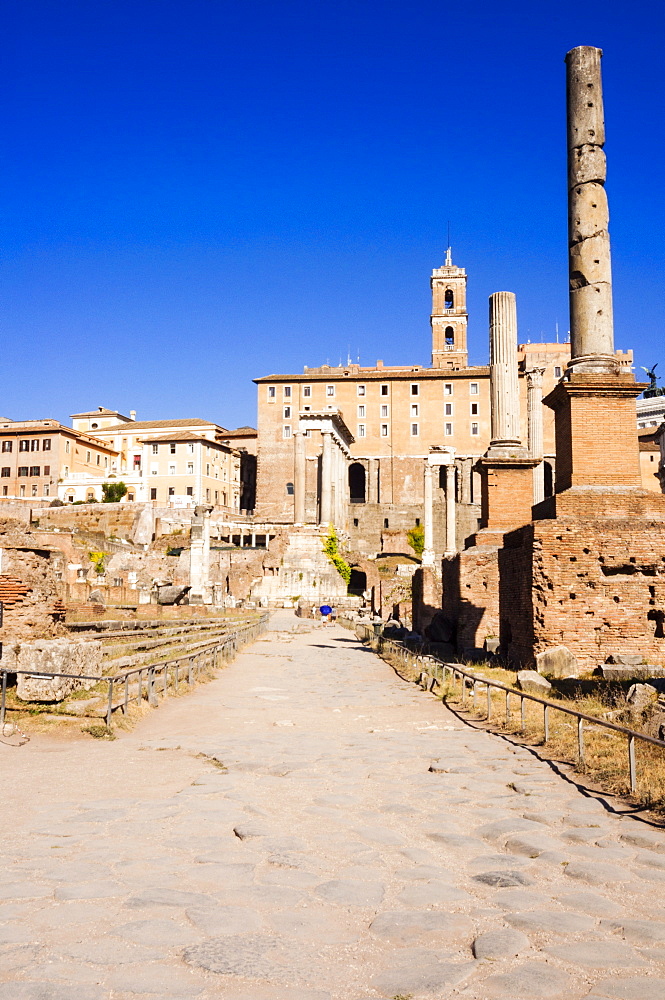 Columns tetrarchiche (honorary columns), Roman Forum, UNESCO World Heritage Site, Rome, Lazio, Italy, Europe