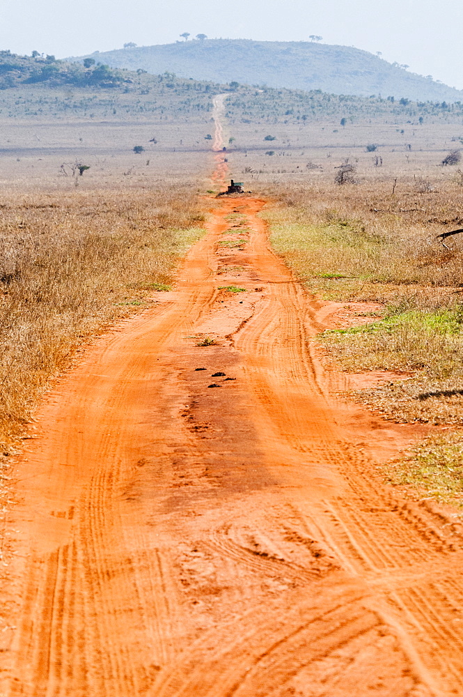 Track in the savannah, Taita Hills Wildlife Sanctuary, Kenya, East Africa, Africa