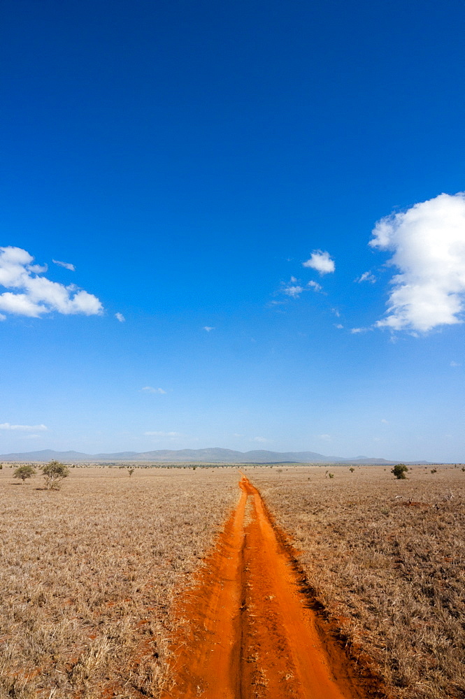 Trail in the Savannah, Tsavo West National Park, Kenya, East Africa, Africa