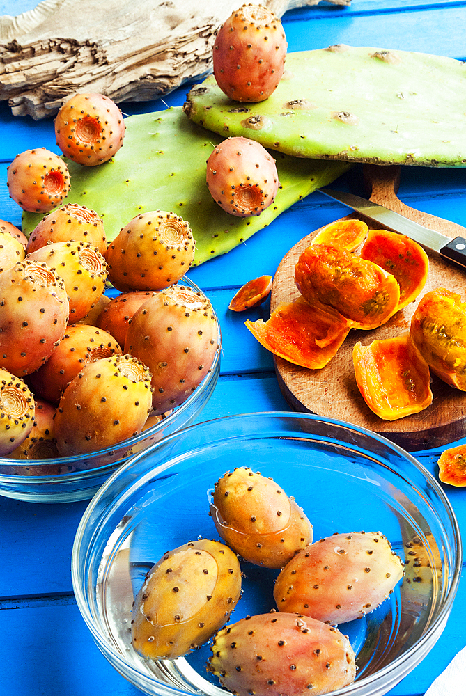 Prickly pears, leaves and fruits, Tuscany, Italy, Europe