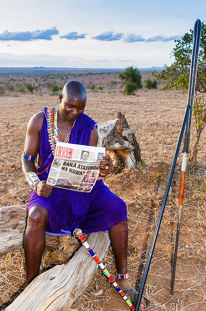 Maasai in the bush reading newspaper, Mwatate, Lualenyi Ranch, Kenya, East Africa, Africa