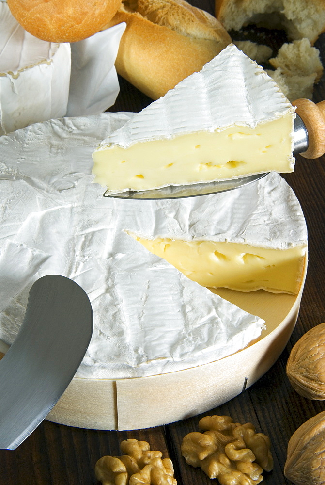 French Brie cheese, France, Europe