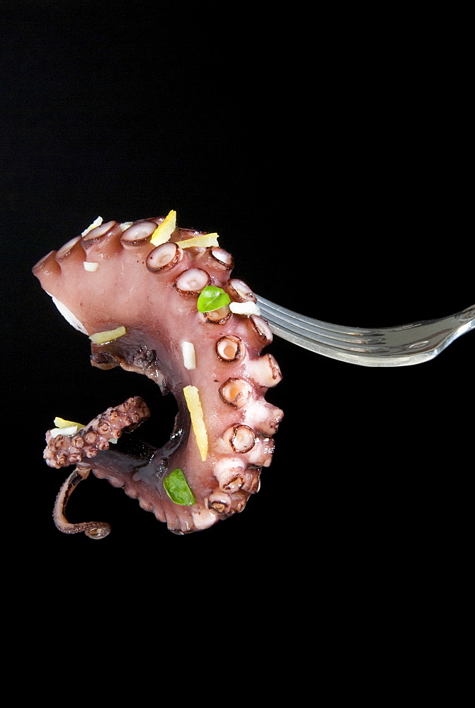 Pulpo guisado, food from the Canary Islands, Spain, Europe