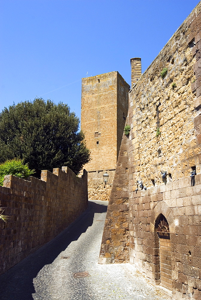 City walls and Lavello Tower, Tuscania, Viterbo, Lazio, Italy, Europe