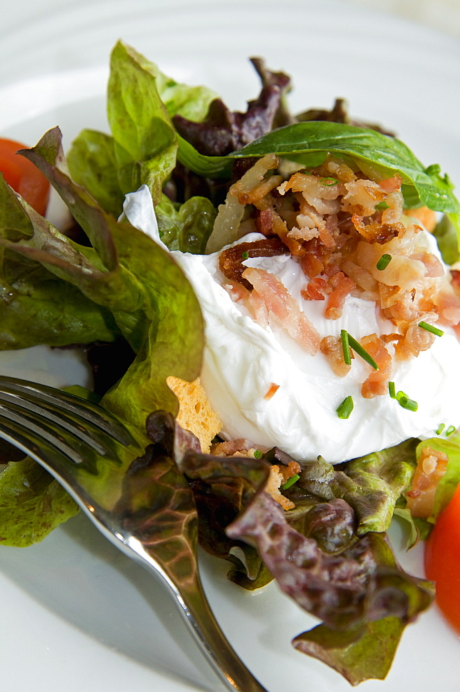 Cheese bacon and salad, France, Europe