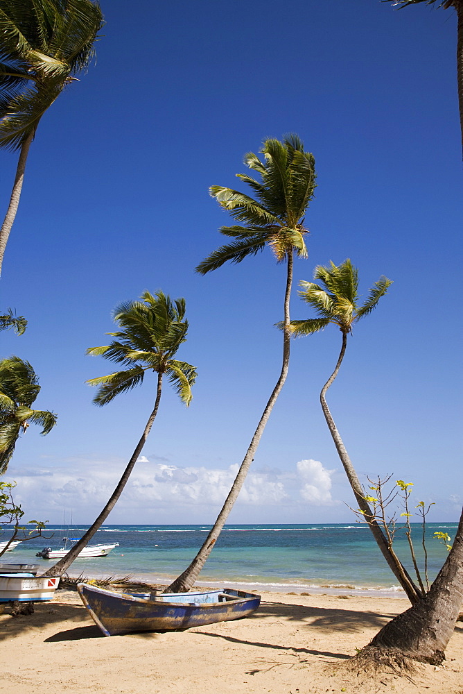 Las Terrenas, Samana Peninsula, Dominican Republic, West Indies, Caribbean, Central America