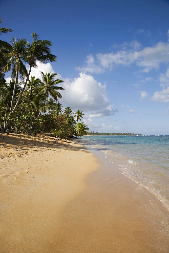 Las Terrenas, Samana Peninsula, Dominican Republic, West Indies, Caribbean, Central America