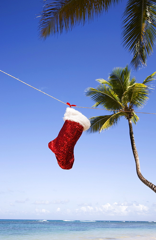 Christmas sock, Las Terrenas, Samana Peninsula, Dominican Republic, West Indies, Caribbean, Central America