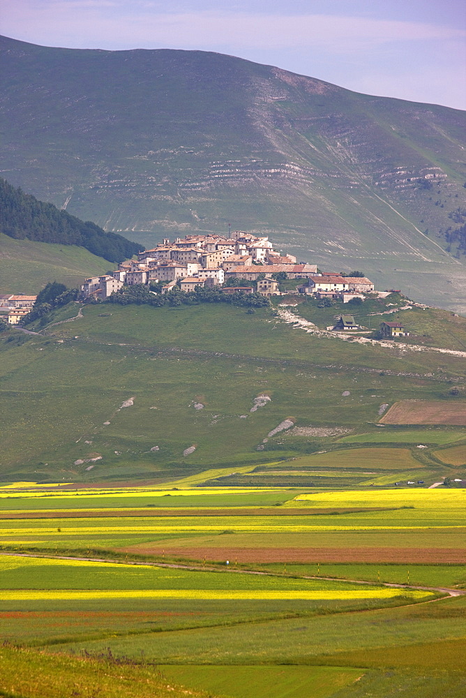 Fields of lentils and Castelluccio di Norcia, Highland of Castelluccio di Norcia, Norcia, Umbria, Italy, Europe