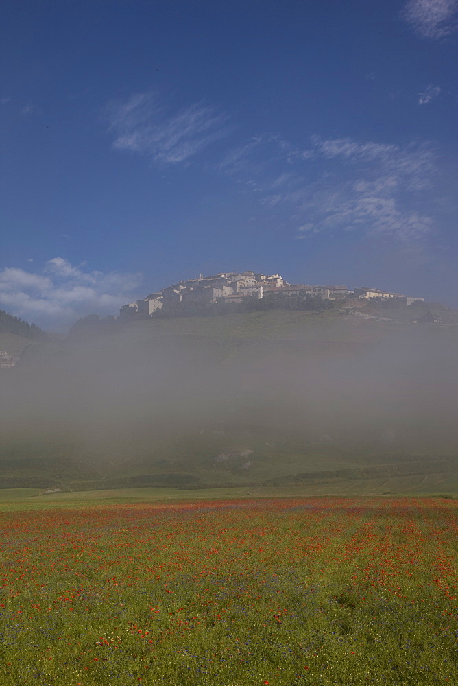 Castelluccio di Norcia, Norcia, Umbria, Italy, Europe