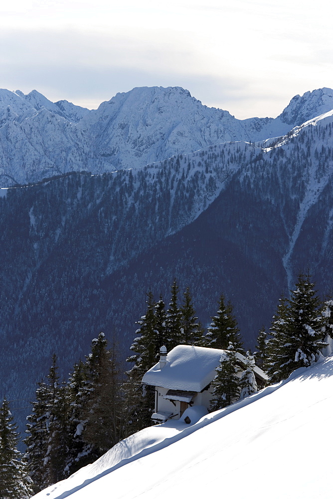 Alps in winter, Peidmont Region, Italy, Europe