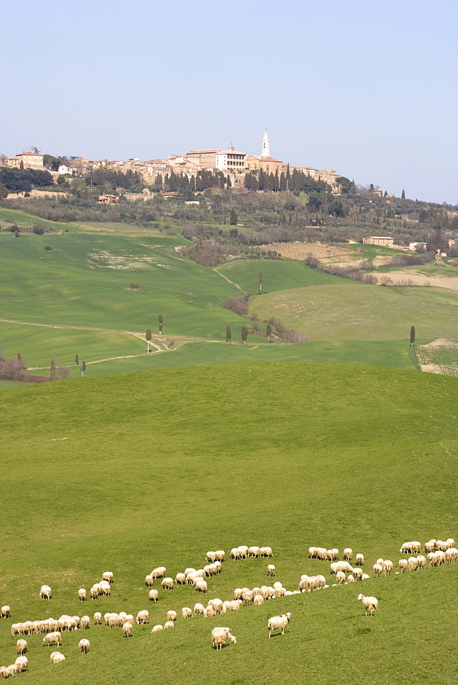 Pienza, Val D'Orcia, Tuscany, Italy, Europe