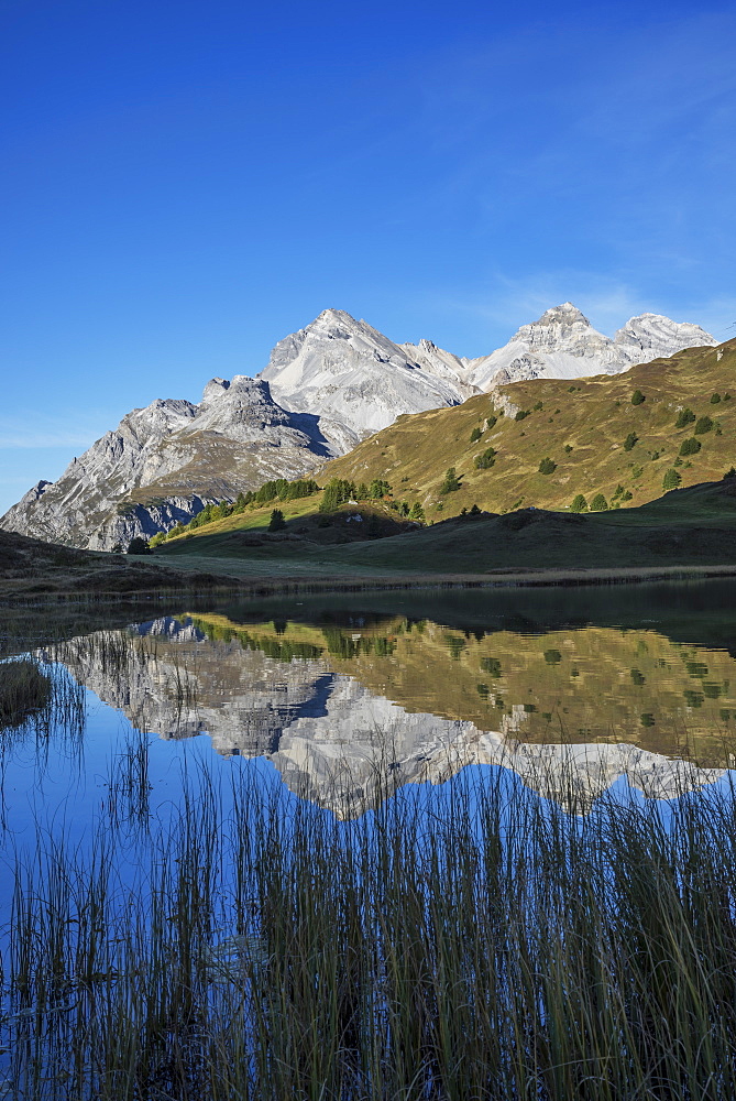 Lai Da Vons, small lake in the Alps, Graubunden, Swiss Alps, Switzerland, Europe