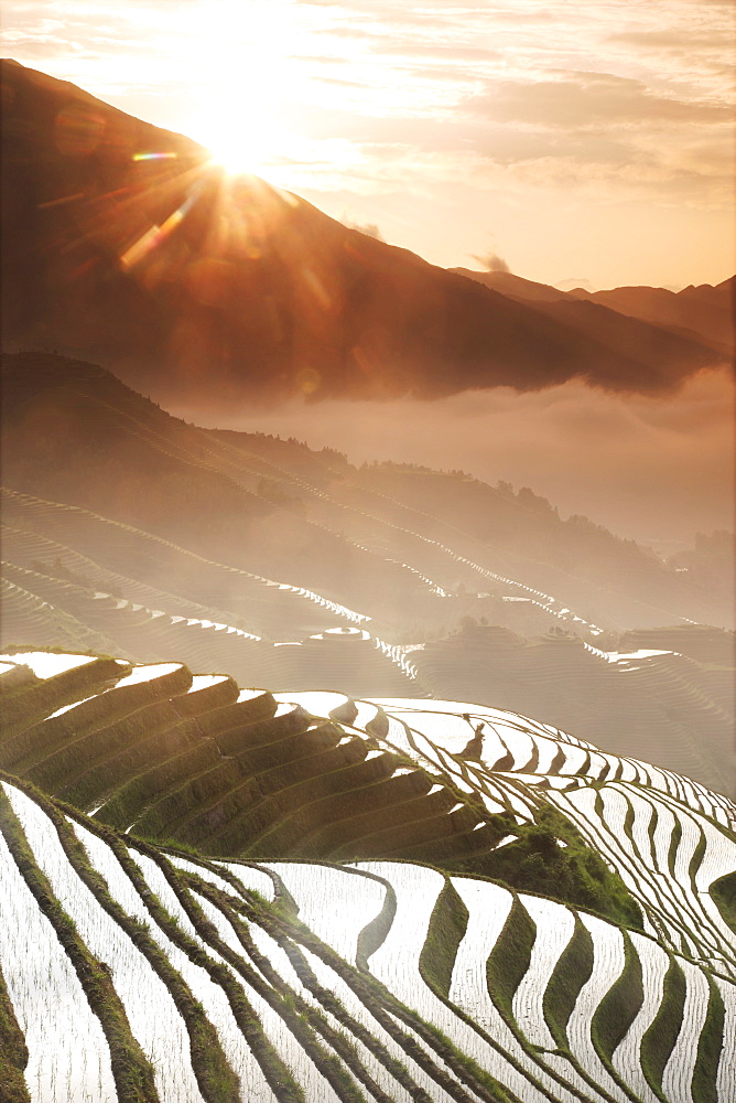 June sunrise, Longsheng terraced ricefields, Guangxi Province, China, Asia