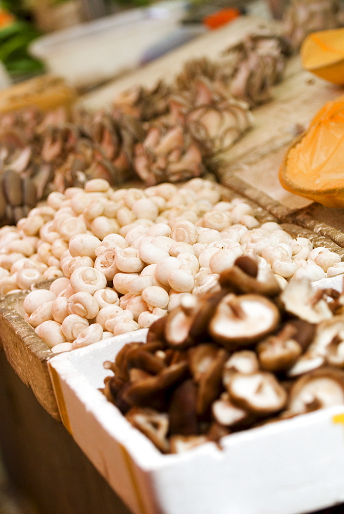 Mushroom stall at market, Xining, Qinghai, China, Asia