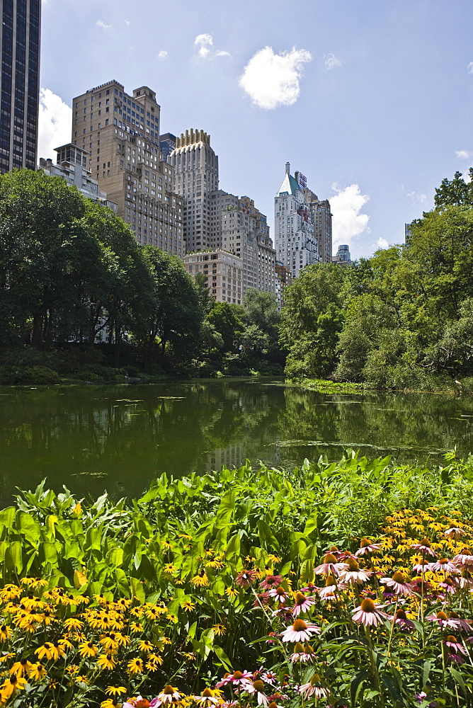 Summer flowers and The Pond, Central Park, Manhattan, New York, United States of America, North America