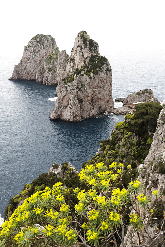 The rugged Faraglioni rocks in Capri, Campania, Italy, Mediterranean, Europe